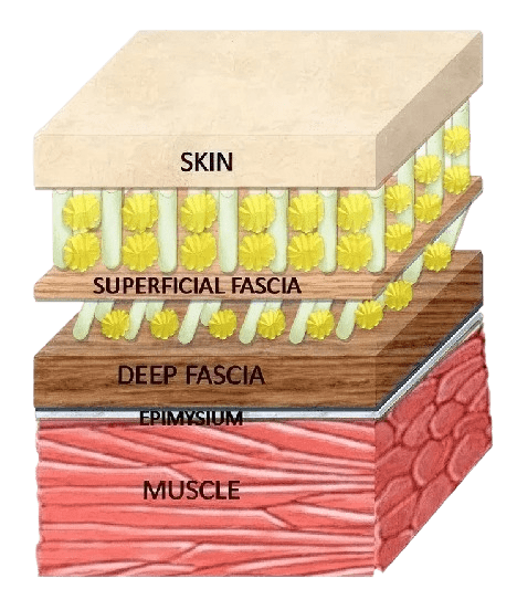 Rectangle-510-removebg-preview
